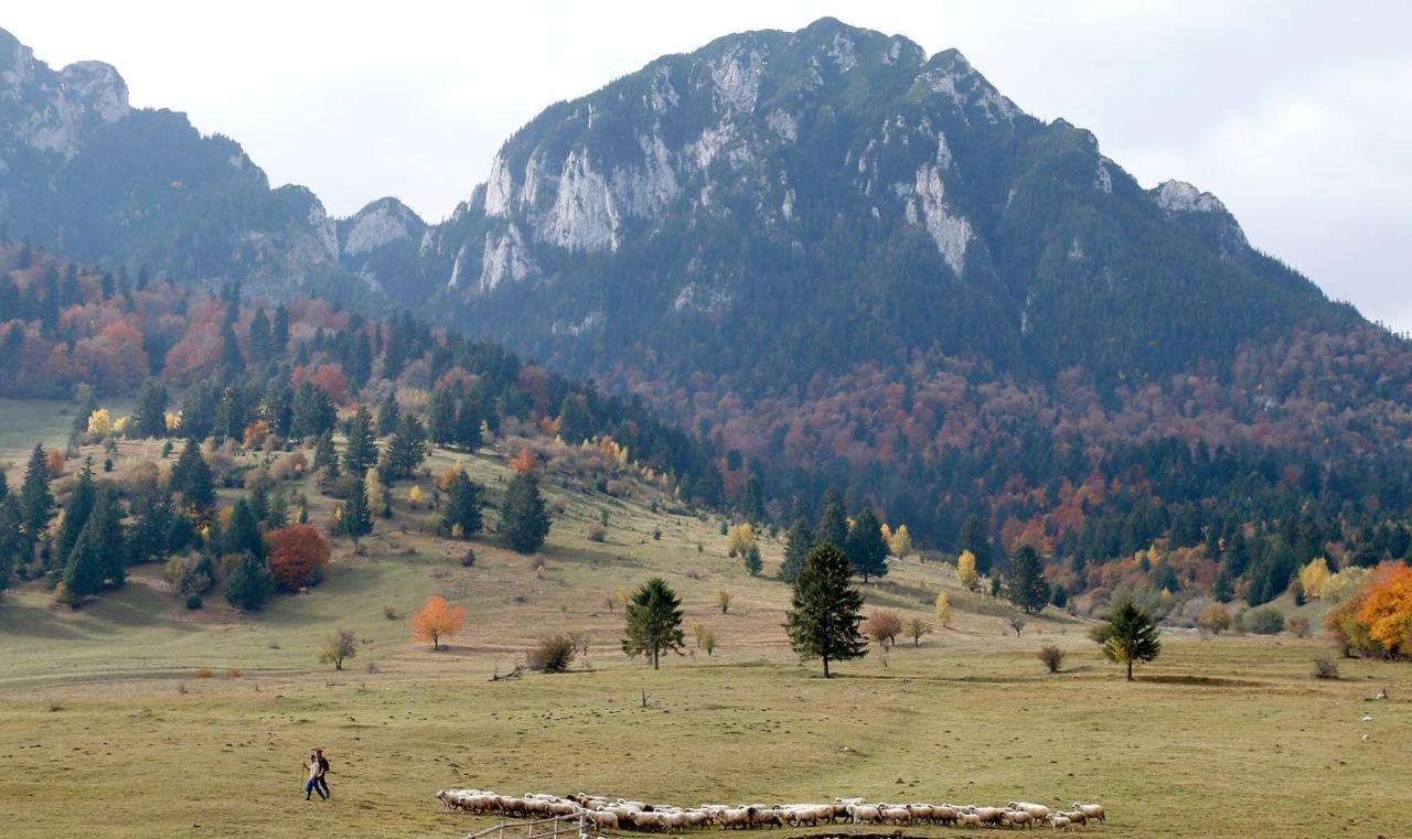 Taverna Pietrei Craiului Zărneşti Buitenkant foto