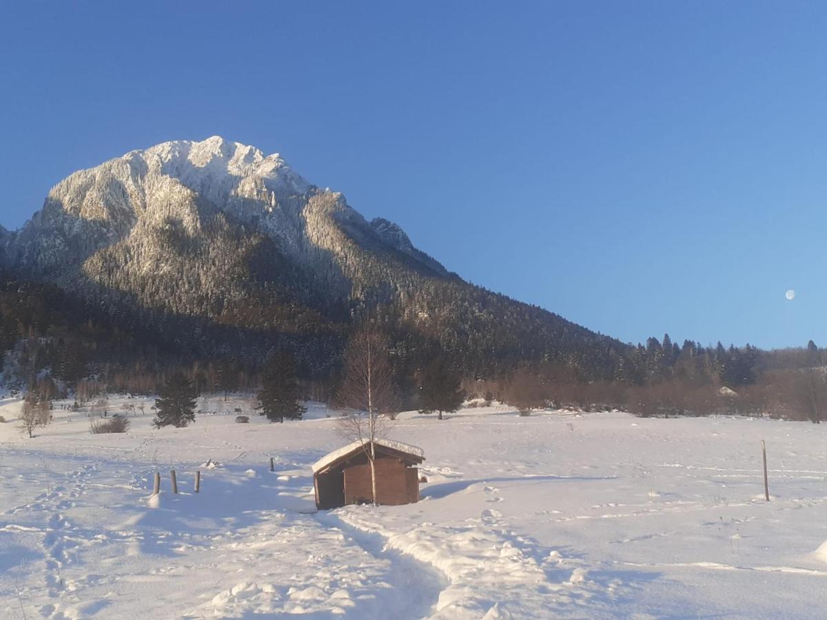 Taverna Pietrei Craiului Zărneşti Buitenkant foto