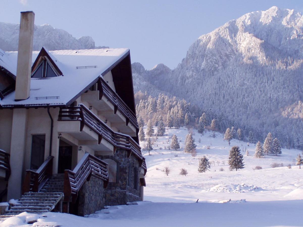 Taverna Pietrei Craiului Zărneşti Buitenkant foto